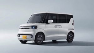 BYD RACCO